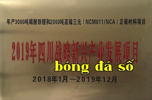 Dự án Phát triển ngành công nghiệp chiến lược năm 2019 của tỉnh Tứ Xuyên